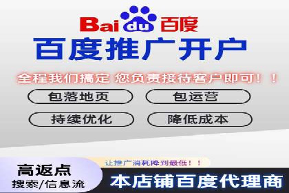 百度推广成功案例分析